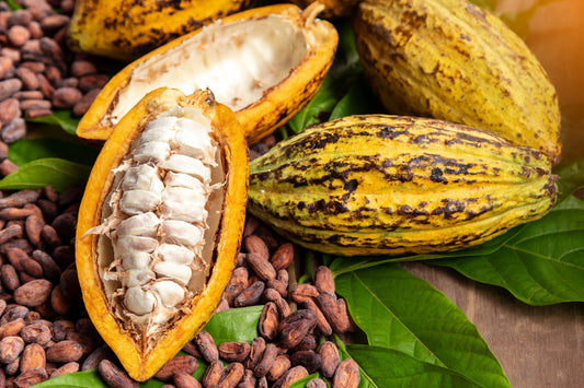 The Beauty of Single-Origin Cocoa